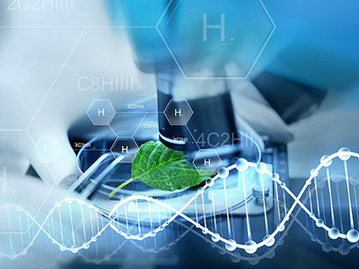 高精度玻璃球在生物實(shí)驗(yàn)領(lǐng)域應(yīng)用